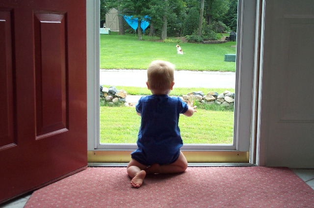 I think he wants a dog