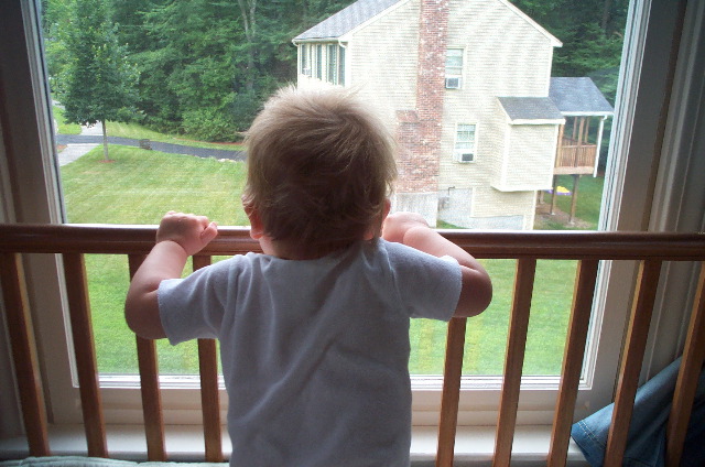 Jack's eye view of the neighbors