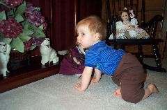 Crawling