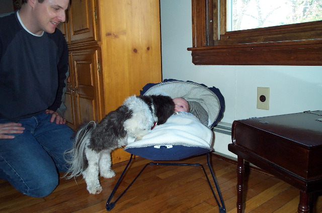 Lucy invades the bouncy seat