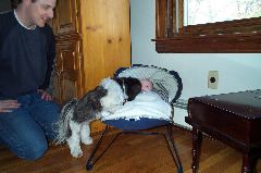 Lucy invades the bouncy seat