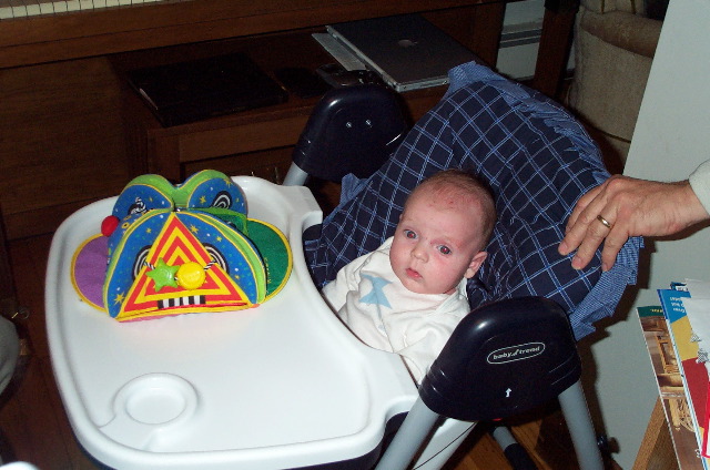 First time in the high chair