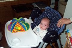 First time in the high chair