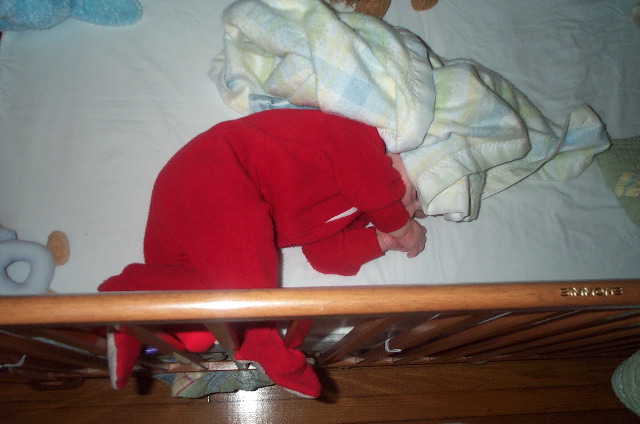 Aerial crib