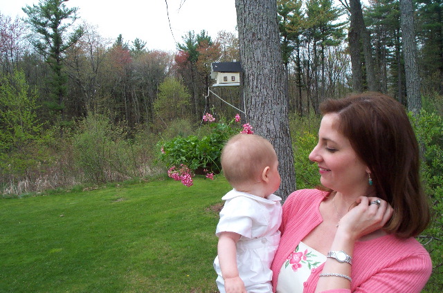 Surveying the back yard
