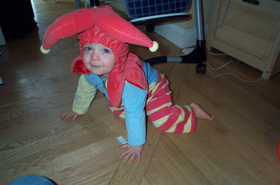 Jester