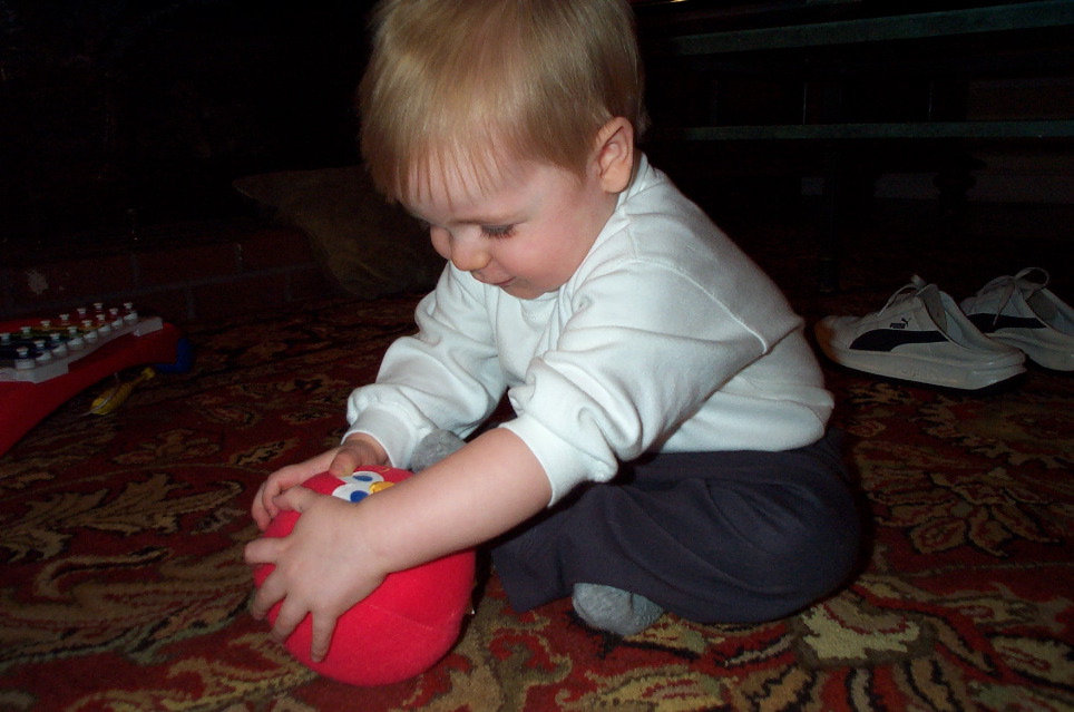 Bouncing Elmo ball