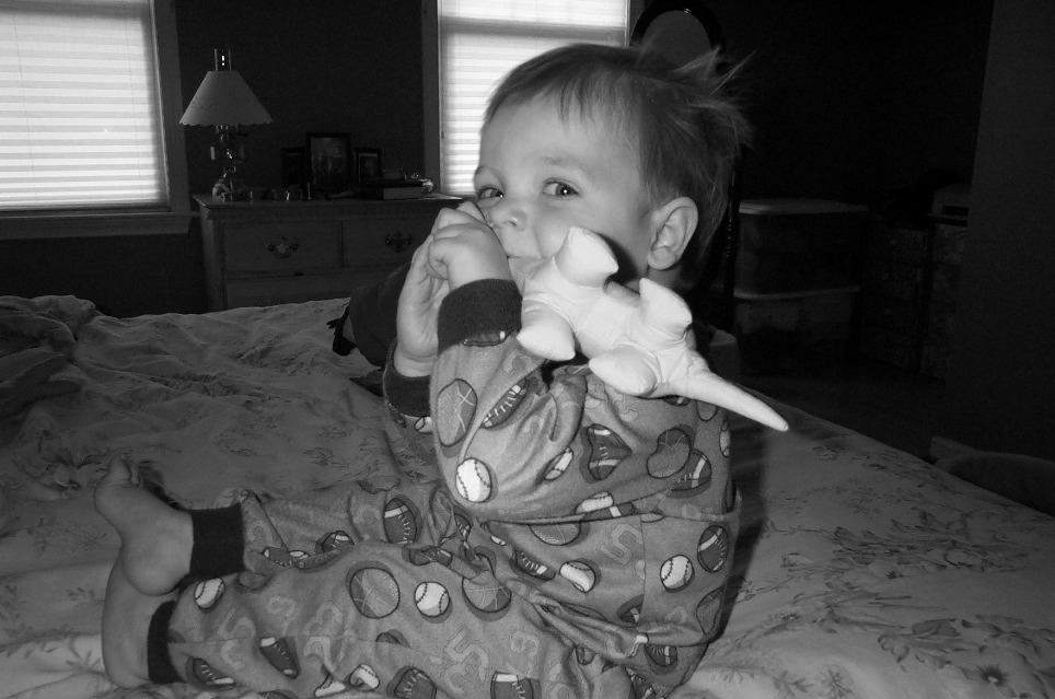 Morning fun