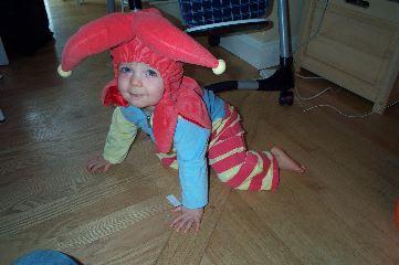 Jester