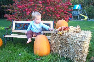Fall pose
