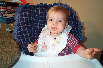 Mom's chocolate chip cookies