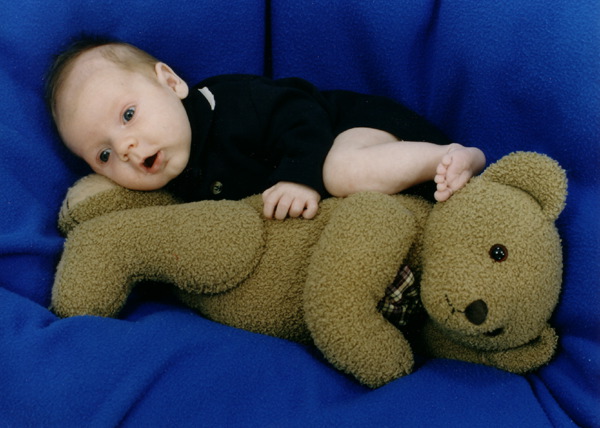 Bear