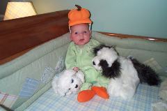 Pumpkin 2